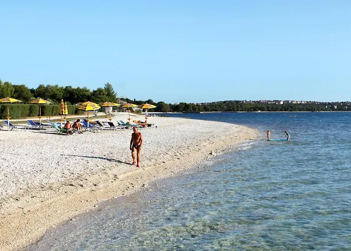 Family Friendly House With A Swimming Pool Valbandon, - 20772 * Fažana