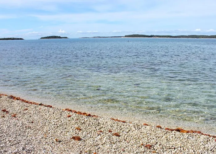 Family Friendly House With A Swimming Pool Valbandon, - 20772 *