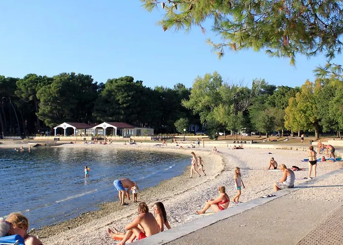 Family Friendly House With A Swimming Pool Valbandon, - 20772 * Fažana