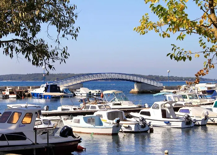 Family Friendly House With A Swimming Pool Valbandon, - 20772 Ferienhaus Fažana